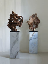 Wabi-sabi Wind Dead Wood Sculpture Modeling New Chinese Desktop Ornament Entrance Tea Room Weathered Wood Root Carving Floor Ornament