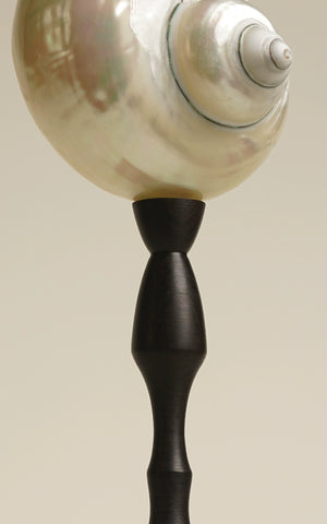 Yuki Saki Lamp | Moonlight, Natural Conch Sandalwood Charging Decorative Desk Lamp Festival Gifts