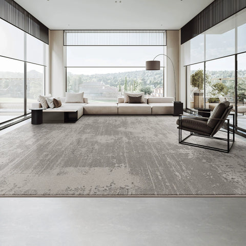 Gray carpet living room light luxury premium gray simple home sofa carpet high sense 2025 new dirt resistant sound insulation