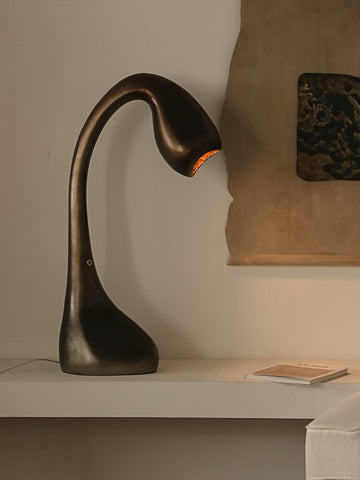 Shaped Living Room Floor Lamp Retro Wabi Wind 2025 New Swan Medieval Lamp Designer Clothing Store Desk Lamp