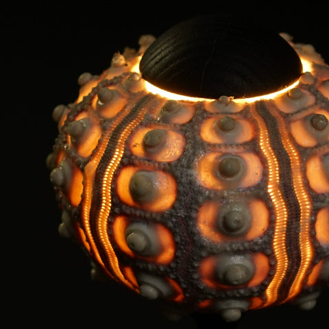 Saki Youshi Lamp | Xiaowu Series - Sea Urchin Lamp Ambient Light Decorative Light Medieval Design Lamp Ornament New Year's Gift