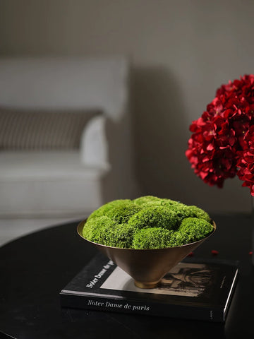 Superspiritual Immortal Moss Bonsai Wabi-sabi Medieval Golden Flower Vessel Sales Office Hotel Lobby Negotiation Table Decorative Ornaments