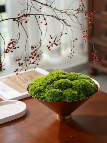 Superspiritual Immortal Moss Bonsai Wabi-sabi Medieval Golden Flower Vessel Sales Office Hotel Lobby Negotiation Table Decorative Ornaments